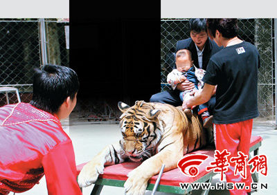 201005110639207baca.jpg