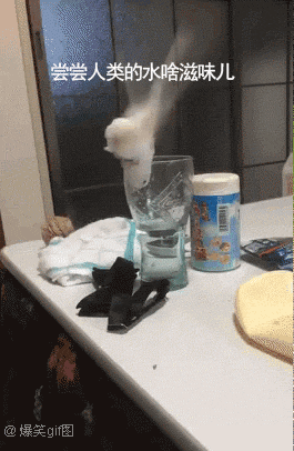 79a00895ly1fhx98gdb9fg207d0bahdu.gif