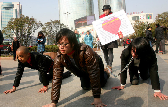 20120209042238f562e.png