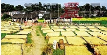 U3979P1T1D20198764F23DT20100504032458.jpg