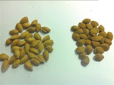 2012112013432641ac8.jpg
