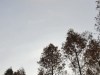100x75_8ICMF7SG00AN0001.jpg