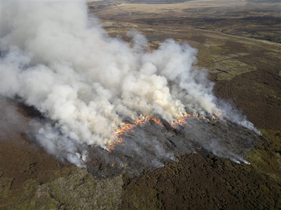 S01415833.jpg