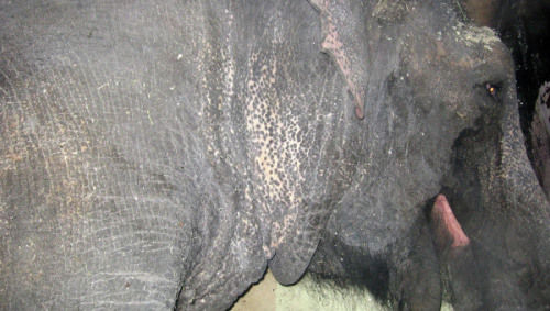 20121215103211cd0d9.jpg