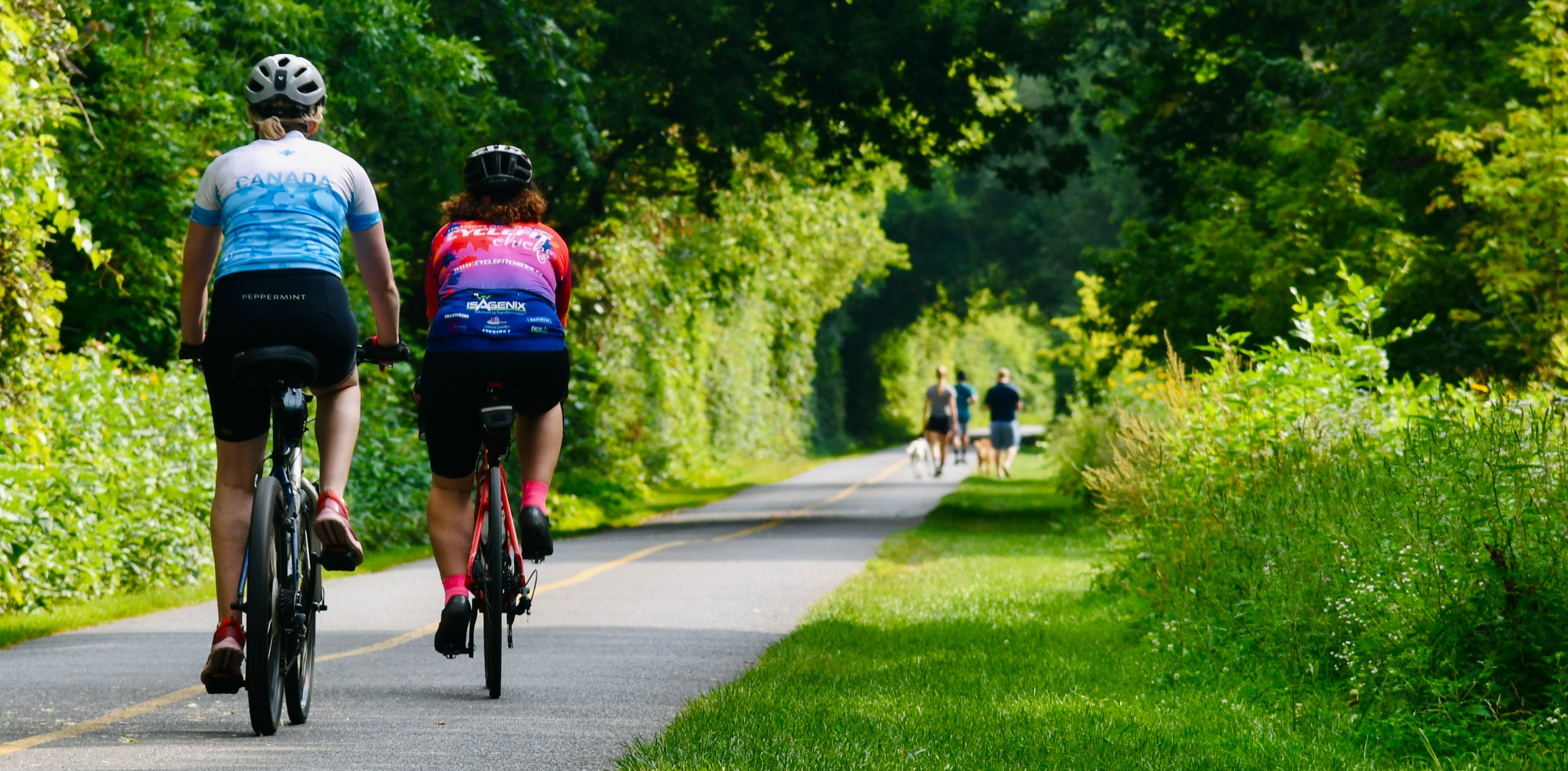 cyclists on a bike path