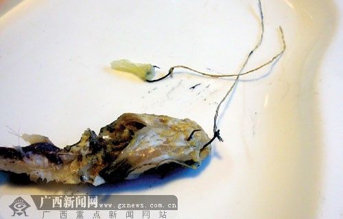 20121206104105dd6f4.jpg