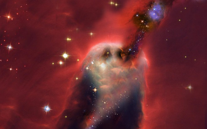 6731597_980x1200_0.jpg