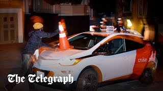 www.telegraph.co.uk