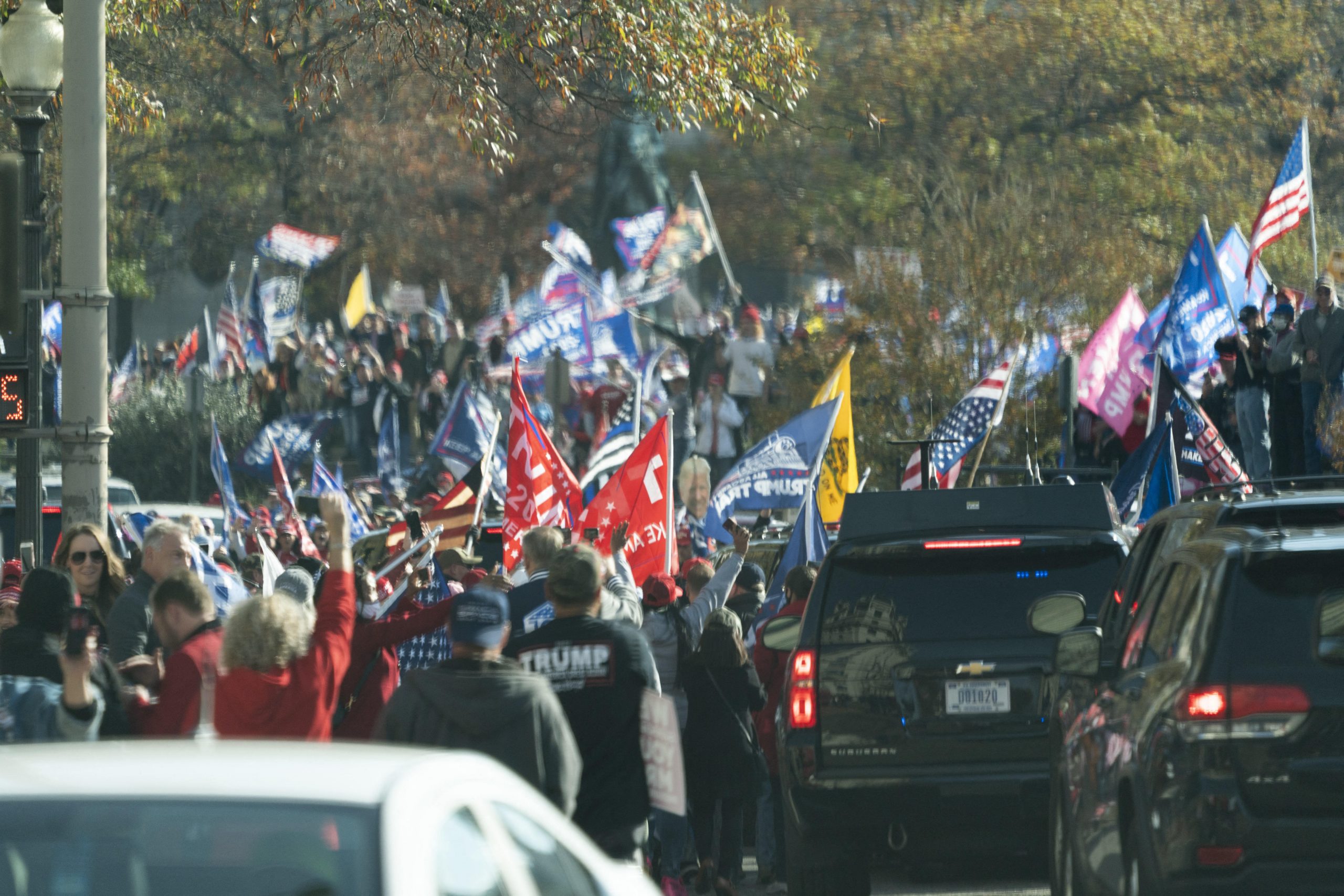 toronto.citynews.ca