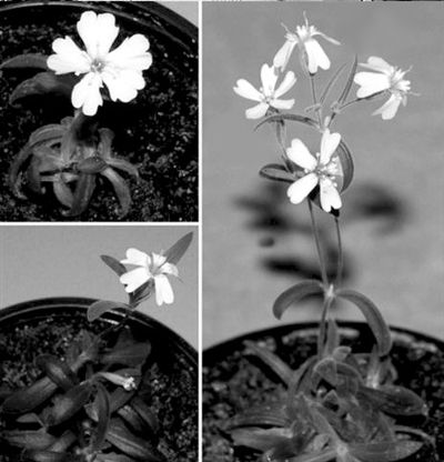 2012022204232972e2c.jpg