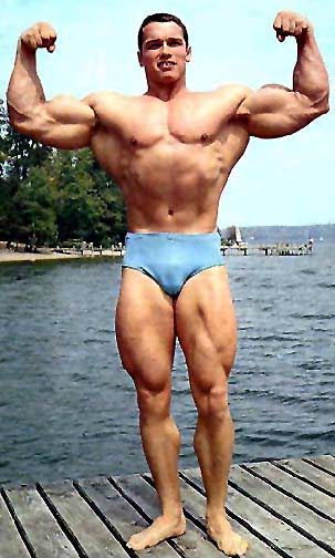 arnold34.jpg