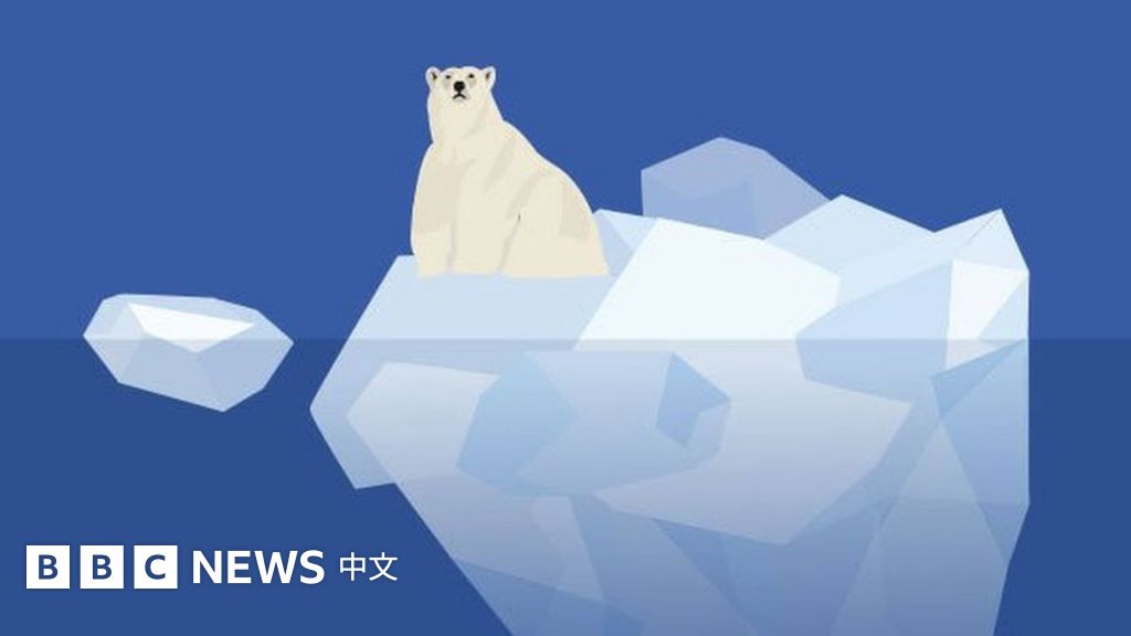 www.bbc.com