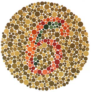 color_blindness_04.jpg
