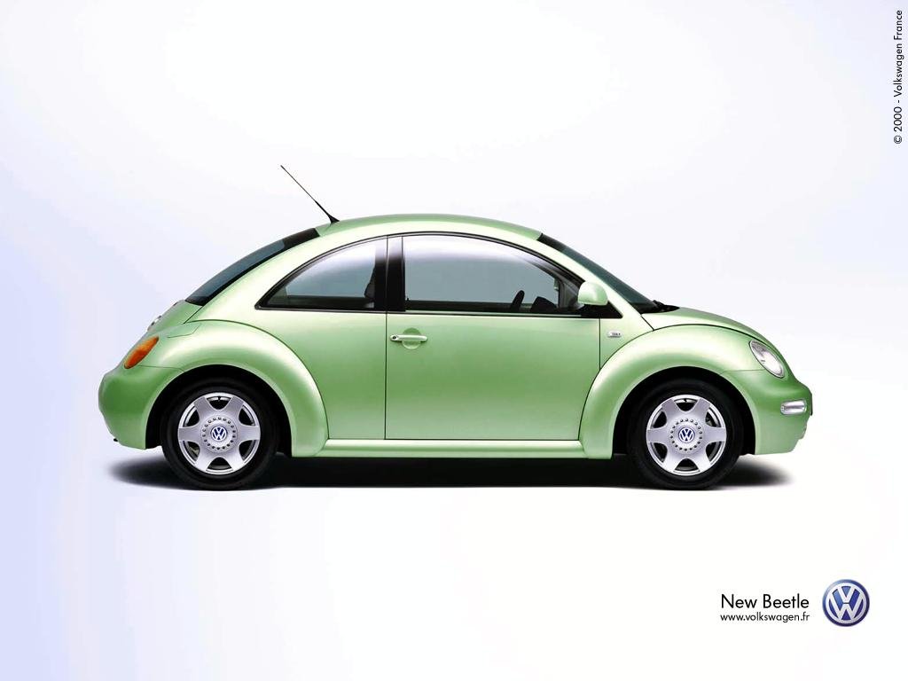New_Beetle_02.jpg