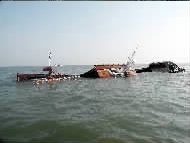 2010070606282937189.jpg