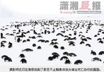 20110128022956a4d55.jpg
