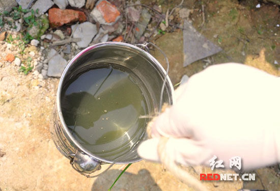 1306770027_maameU.jpg