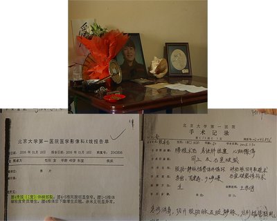 23264801.jpg