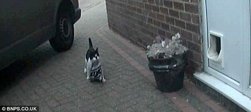 20120920104051d2272.jpg