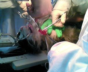 201005100228594b17a.jpg