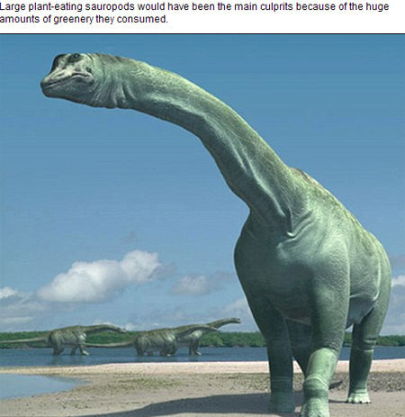 1336443577_D4RhnB.jpg