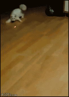 7006bc8ajw1f5mraig9p1g206r09f16b.gif