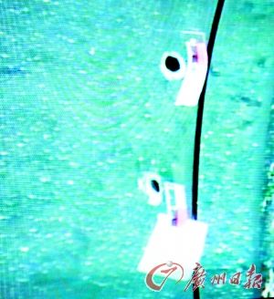 20110408032033e2a9f.jpg