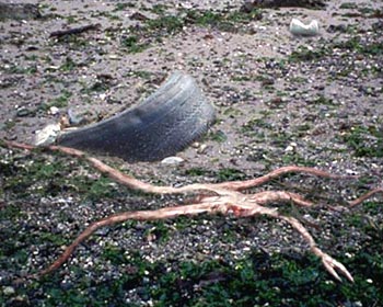 Img240208705.jpg