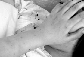 201006040824104c5f1.jpg