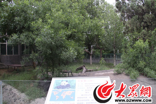 201007231849138914d.jpg