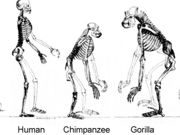 6679957_980x1200_0.jpg