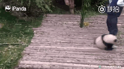 20170224094610595.gif