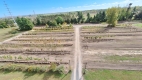 An aerial view overlooking the City’s tree nursery. Young trees are visible, standing in neat rows