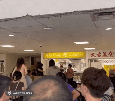 65035dd9e8fcb.gif