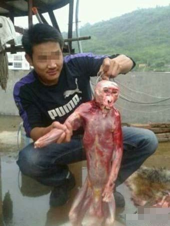 20121102142456e4fc7.jpg