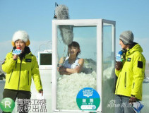 U5199P28T3D3221744F346DT20110129183417_small_h.jpg