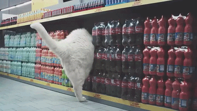 b8b73ba1jw1f4ouaa4a7xg20b4069qv8.gif