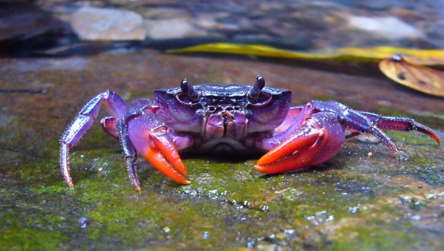 20130614103402214.jpg