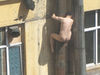 100x75_72NPIECK00AP0001.jpg