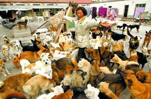 20121120043322dc1fb.jpg