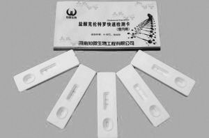 CE91ECBC45AF477E602B7FC50433DE33.jpg