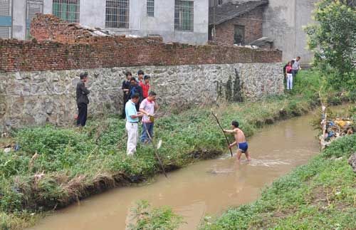 20100613113506c0f0e.jpg