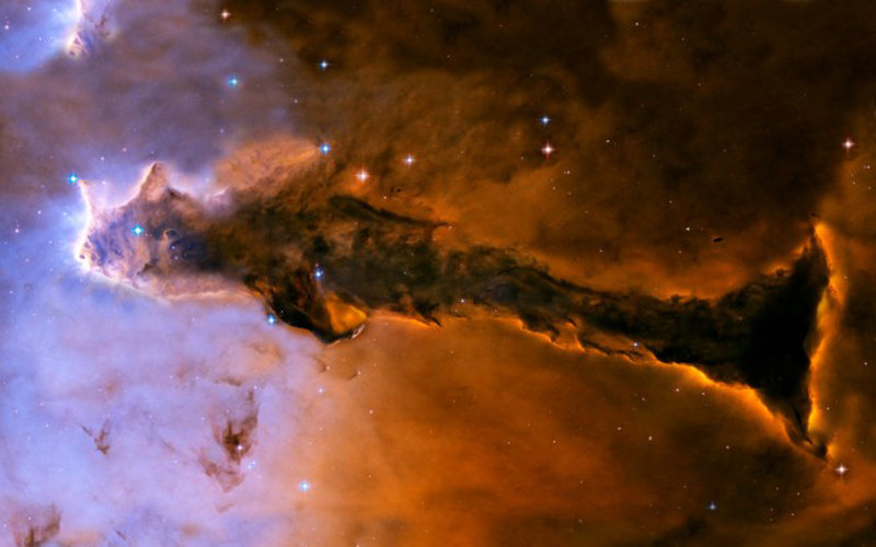 6731606_980x1200_0.jpg