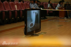 U4174P28T3D2978432F346DT20100604163950_small_h.jpg