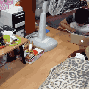 8a15a1ccgy1fjmrtbht8ag208b08bkjl.gif