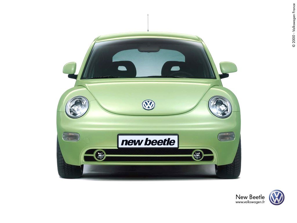 New_Beetle_01.jpg