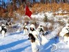 100x75_8K49QAV44T8E0001.jpg