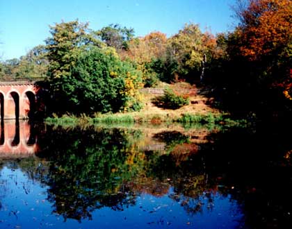 hampstead_ritva_raitsalo_420x330.jpg