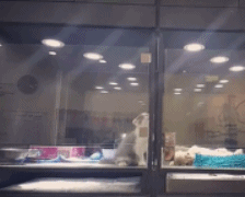bfc243a3gw1f5byjy2si4g2068050npe.gif