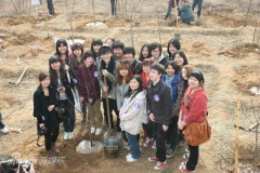 U3904P28T3D3252444F346DT20110313162809_small_h.JPG